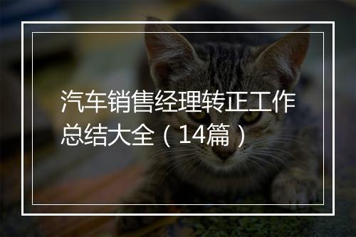 汽车销售经理转正工作总结大全（14篇）