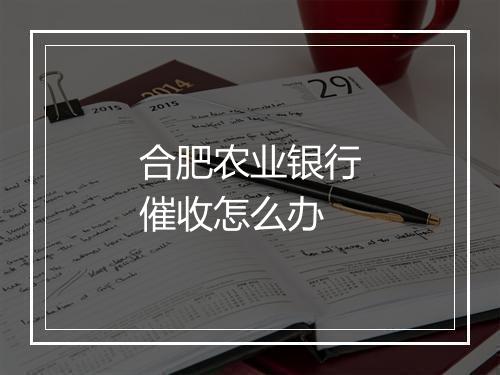 合肥农业银行催收怎么办
