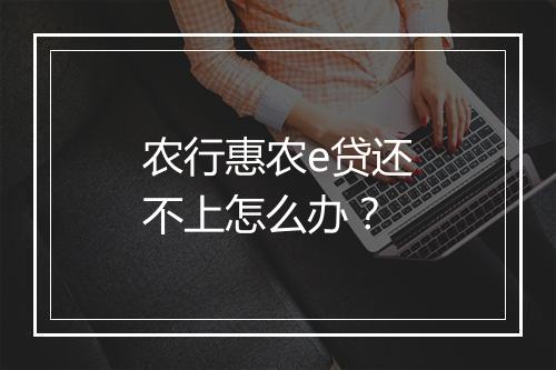 农行惠农e贷还不上怎么办？