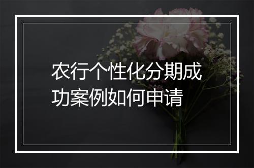 农行个性化分期成功案例如何申请