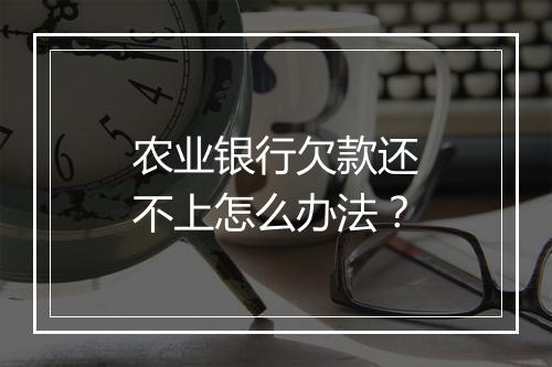农业银行欠款还不上怎么办法？