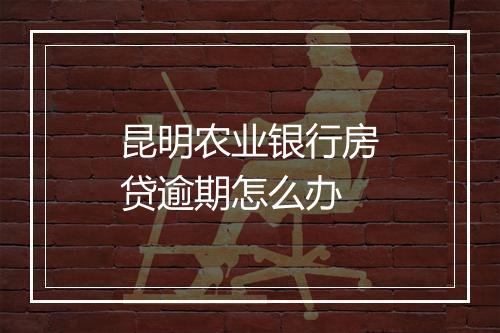 昆明农业银行房贷逾期怎么办