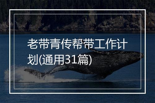 老带青传帮带工作计划(通用31篇)
