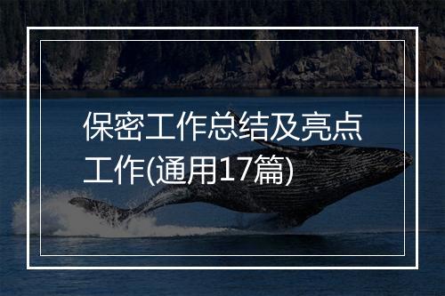 保密工作总结及亮点工作(通用17篇)