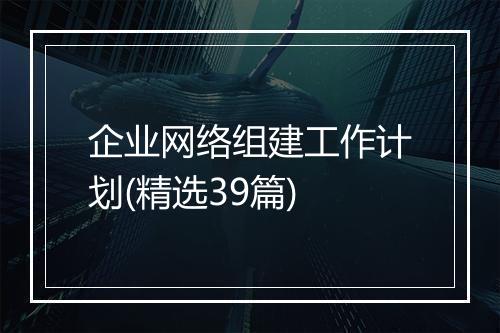企业网络组建工作计划(精选39篇)