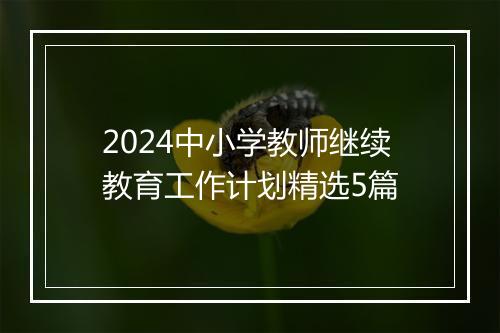 2024中小学教师继续教育工作计划精选5篇