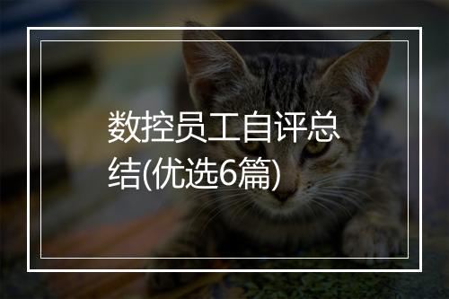 数控员工自评总结(优选6篇)