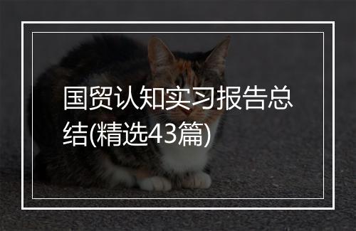 国贸认知实习报告总结(精选43篇)