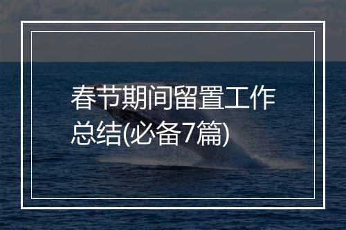 春节期间留置工作总结(必备7篇)