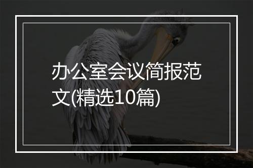 办公室会议简报范文(精选10篇)