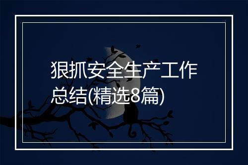 狠抓安全生产工作总结(精选8篇)