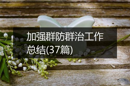 加强群防群治工作总结(37篇)
