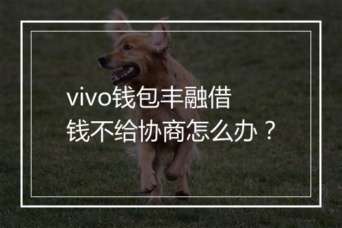 vivo钱包丰融借钱不给协商怎么办？