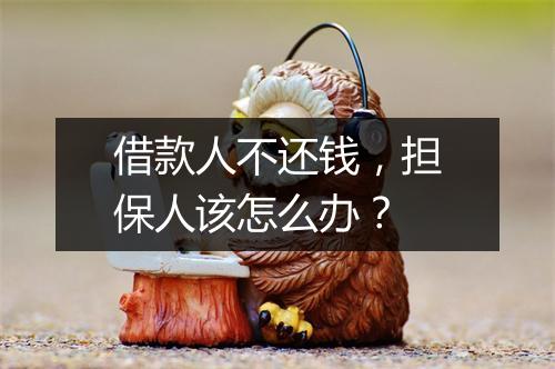 借款人不还钱，担保人该怎么办？
