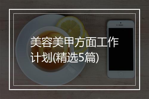 美容美甲方面工作计划(精选5篇)