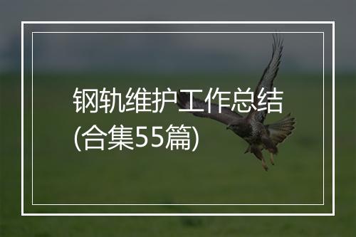 钢轨维护工作总结(合集55篇)