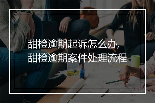 甜橙逾期起诉怎么办,甜橙逾期案件处理流程