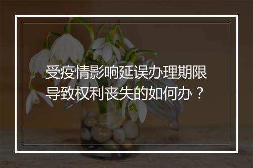 受疫情影响延误办理期限导致权利丧失的如何办？