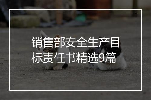 销售部安全生产目标责任书精选9篇
