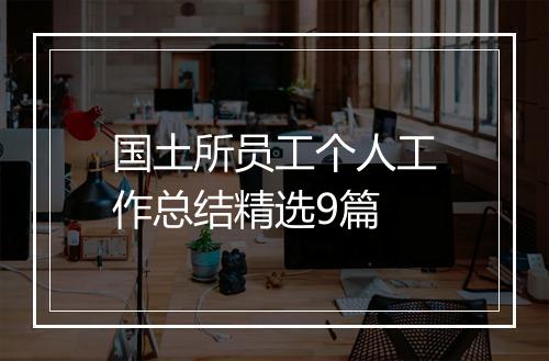 国土所员工个人工作总结精选9篇