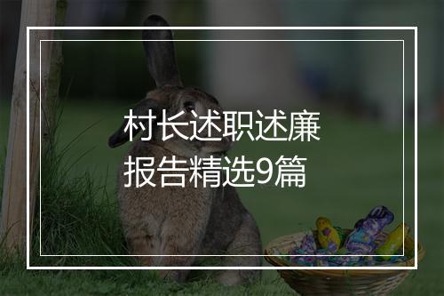 村长述职述廉报告精选9篇