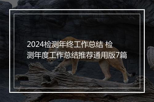 2024检测年终工作总结 检测年度工作总结推荐通用版7篇