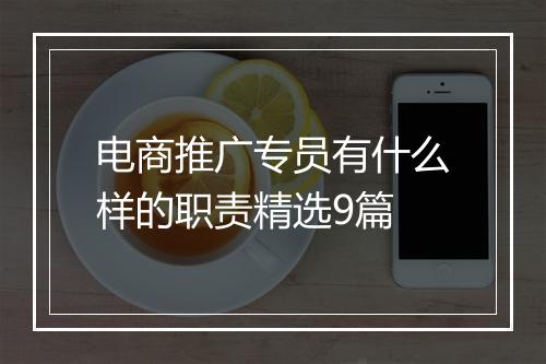 电商推广专员有什么样的职责精选9篇