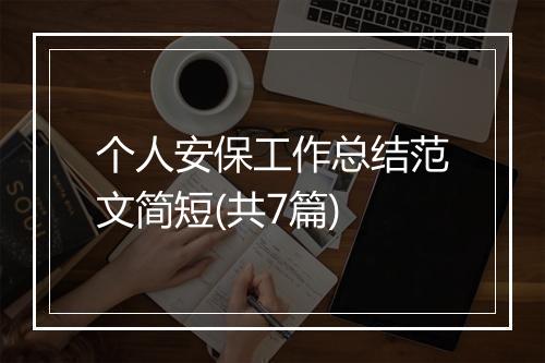 个人安保工作总结范文简短(共7篇)