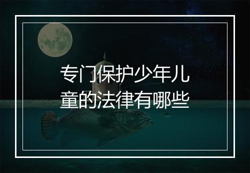 专门保护少年儿童的法律有哪些