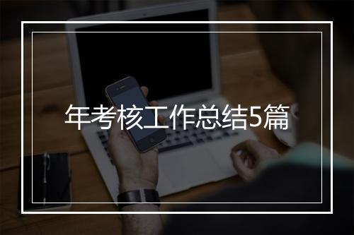年考核工作总结5篇