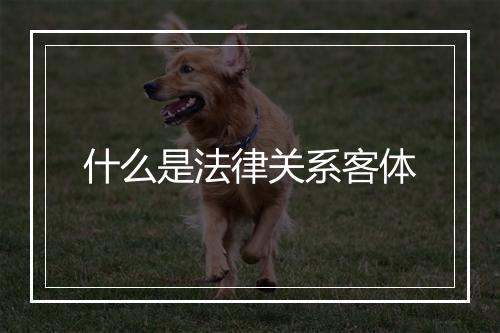 什么是法律关系客体