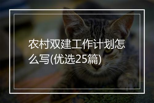 农村双建工作计划怎么写(优选25篇)