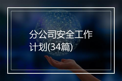 分公司安全工作计划(34篇)