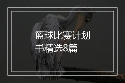 篮球比赛计划书精选8篇