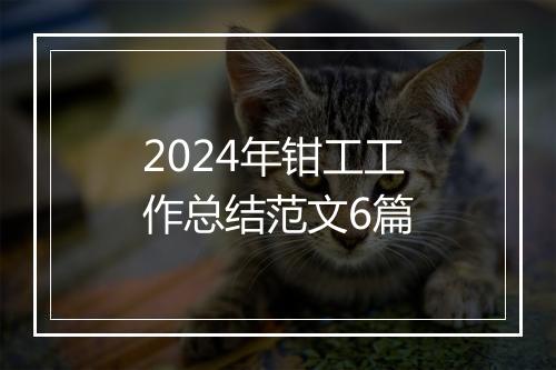 2024年钳工工作总结范文6篇