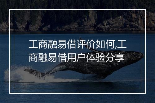 工商融易借评价如何,工商融易借用户体验分享