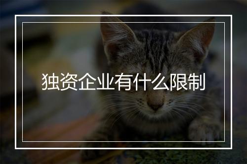 独资企业有什么限制