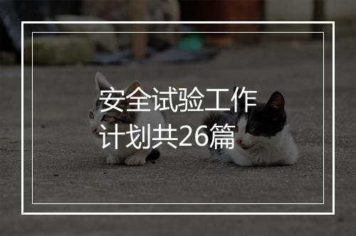 安全试验工作计划共26篇