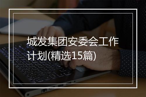 城发集团安委会工作计划(精选15篇)