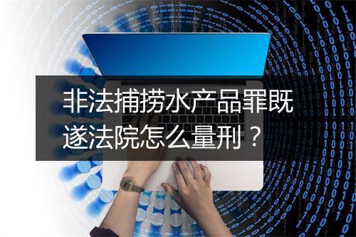 非法捕捞水产品罪既遂法院怎么量刑？