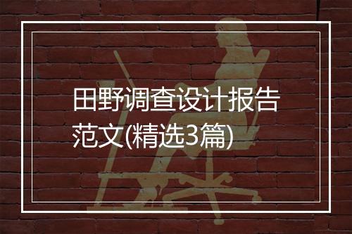 田野调查设计报告范文(精选3篇)