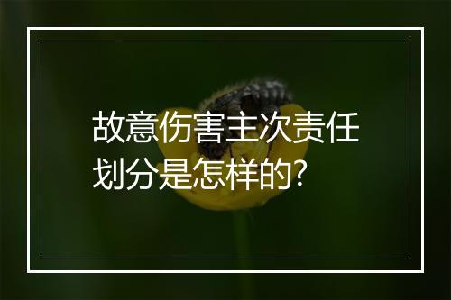 故意伤害主次责任划分是怎样的?