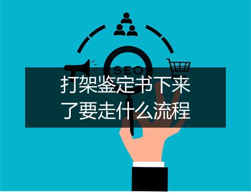 打架鉴定书下来了要走什么流程