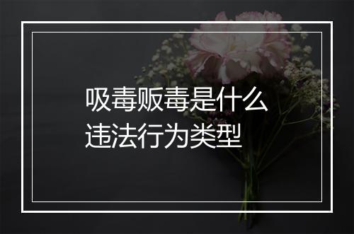 吸毒贩毒是什么违法行为类型