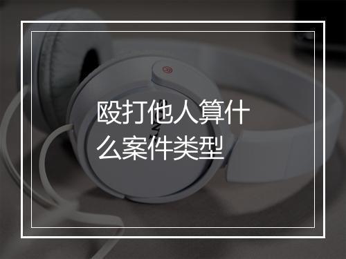 殴打他人算什么案件类型