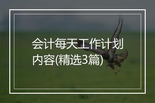会计每天工作计划内容(精选3篇)