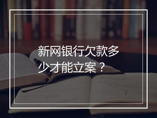 新网银行欠款多少才能立案？