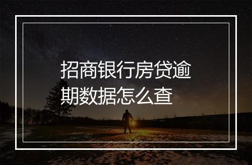招商银行房贷逾期数据怎么查