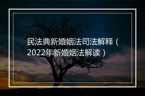 民法典新婚姻法司法解释（2022年新婚姻法解读）