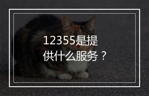 12355是提供什么服务？